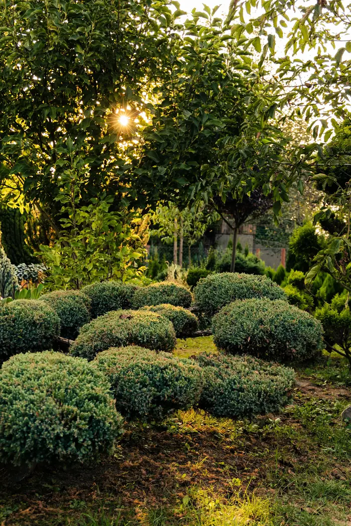 Flower beds in full bloom