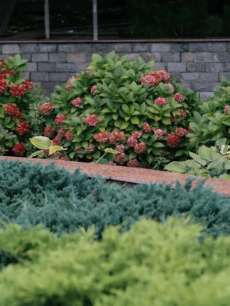 A planted garden bed with shrubs and flowers